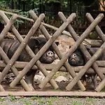 فندق Weisse Muehle