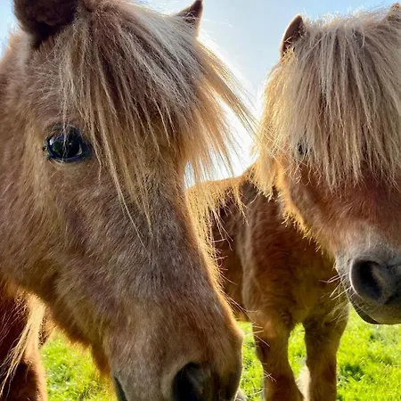 Отель Weisse Muehle