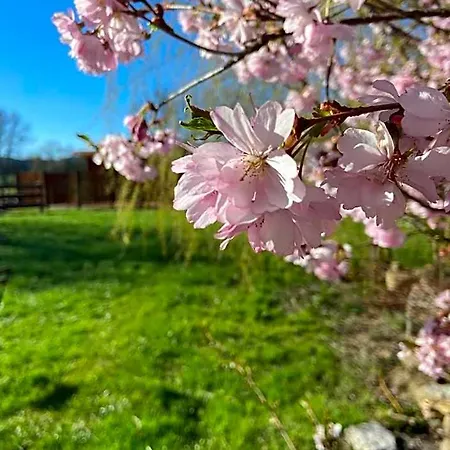 Weisse Muehle Breitenworbis