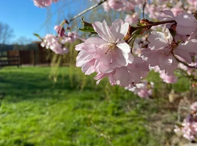 Weisse Muehle Breitenworbis