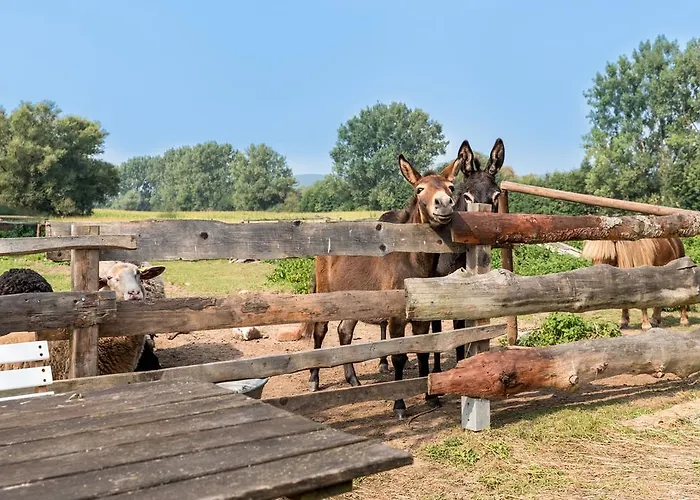 Weiße Mühle Hotel Breitenworbis